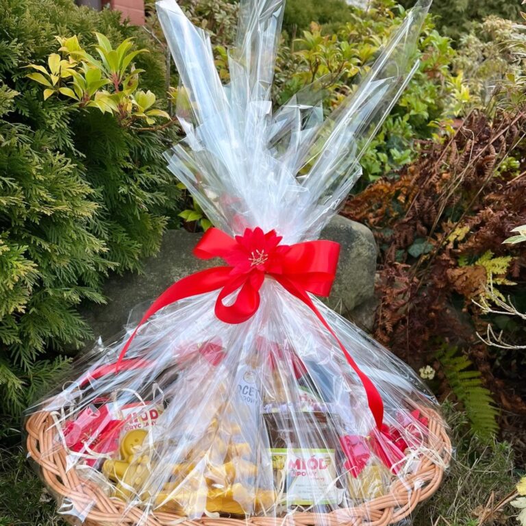 471241550_1043616164445780_3851625623906843724_n