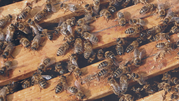 Zrzut ekranu 2025-02-04 212425