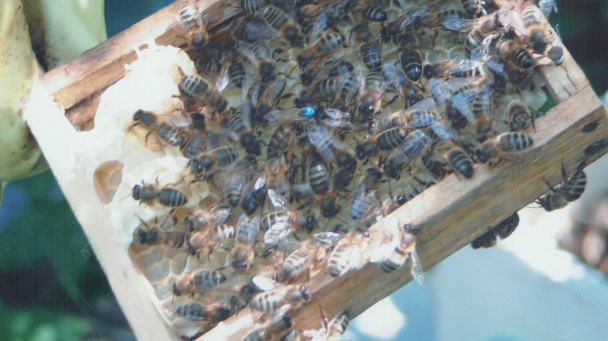 Zrzut ekranu 2025-02-04 212531