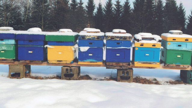 Zrzut ekranu 2025-02-04 212610