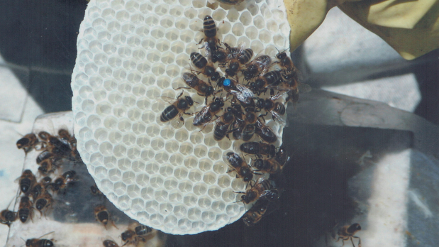 Zrzut ekranu 2025-02-04 212634