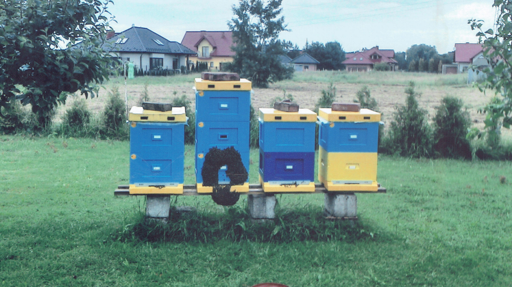 Zrzut ekranu 2025-02-04 212701