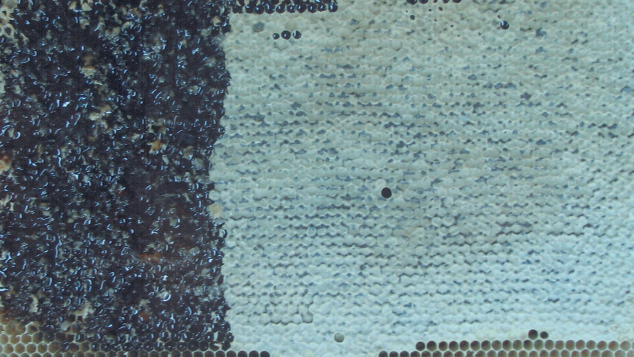 Zrzut ekranu 2025-02-04 212721 — kopia