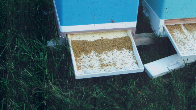 Zrzut ekranu 2025-02-04 212741 — kopia