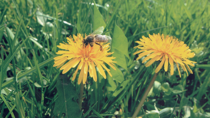 Zrzut ekranu 2025-02-04 212801