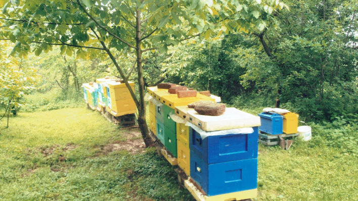 Zrzut ekranu 2025-02-04 212815