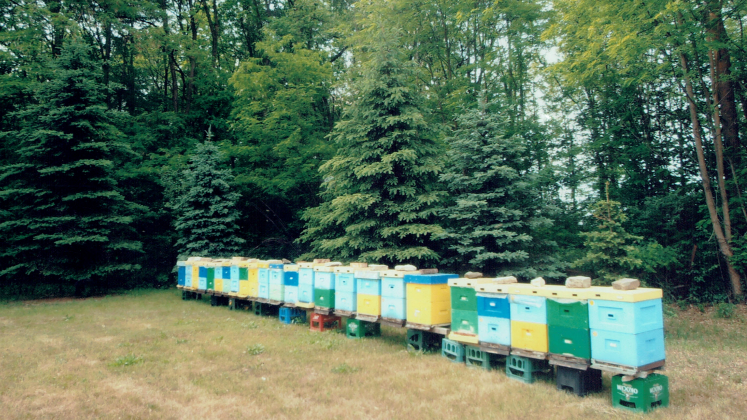 Zrzut ekranu 2025-02-04 212827 — kopia